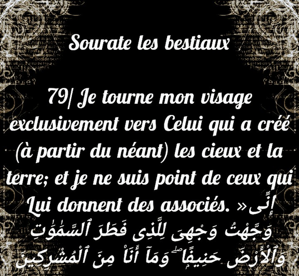 Sourate Les Bestiaux Verset 79