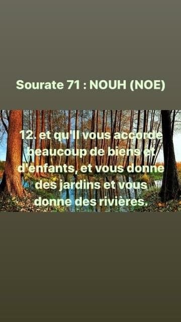 le PONT "sirat"   hadith Bukhari /Nawawi
